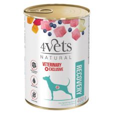 4Vets Natural Veterinary Exclusive RECOVERY 400 g