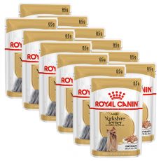 ROYAL CANIN Yorkshire Loaf kapsička s paštikou pre jorkšíra 12 x 85 g