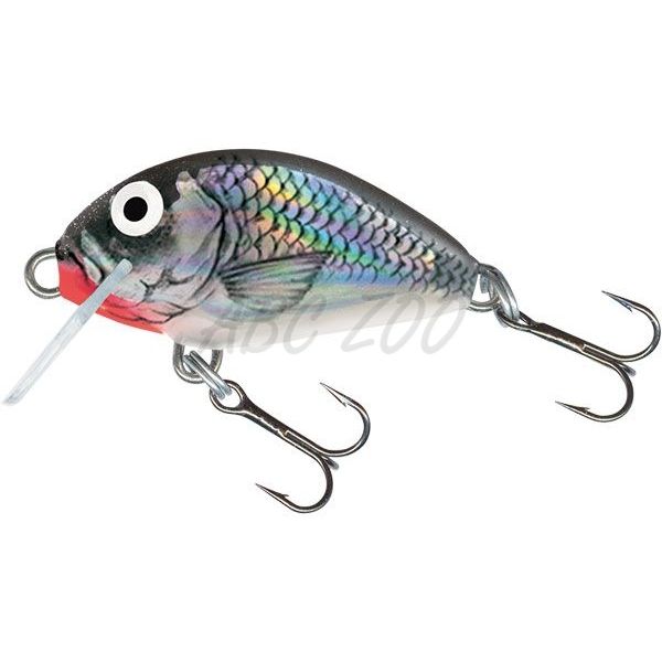 Salmo Wobler Tiny Floating 3cm Holo Grey Shiner