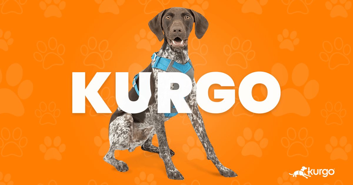 Značka Kurgo - bezpečné cestovanie so psom
